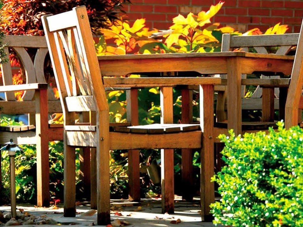 Logis Terrasse Hotel Lisieux Eksteriør billede